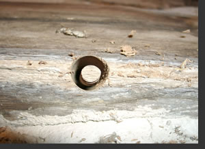 Sch�nenberg - Henry-Arnaud-Haus